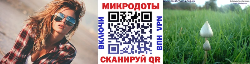 Галлюциногенные грибы Cubensis  Нефтекумск 
